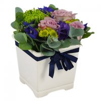 Till en liten prins - Blommor till Nyfödda - Skicka blommor i %city%