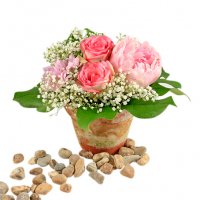 Söt och underbar! - Blomsterdekorationer - Skicka blommor i %city%
