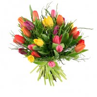 Tulpaner i massor - Tulpaner - Skicka blommor & presenter i %city%