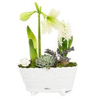 Snövit Julgrupp - Jul blommor - Skicka blommor och presenter i %city%