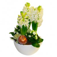 Jultraditioner - Jul blommor - Skicka blommor och presenter i %city%