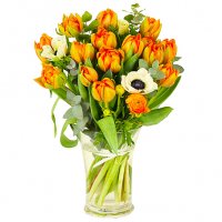 Lovande - Tulpaner - Skicka blommor & presenter i %city%