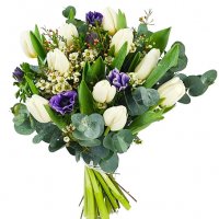 Vårvintertulpaner - Tulpaner - Skicka blommor & presenter i %city%