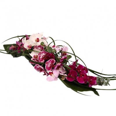 Orkide - Begravningsdekorationer - Skicka begravningsblommor %city%