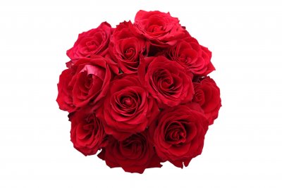 Ett dussin lyxrosor - Rosor - Skicka blommor %city%
