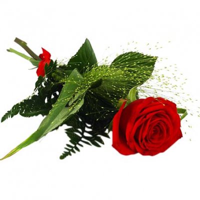 Handbukett med en röd ros, fontängräs