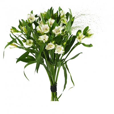 Alstromeria - Buketter - Skicka blommor i %city%